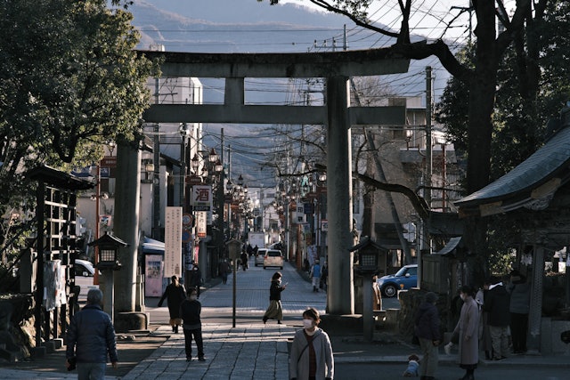 [Image1]Chichibu Shrine Approach