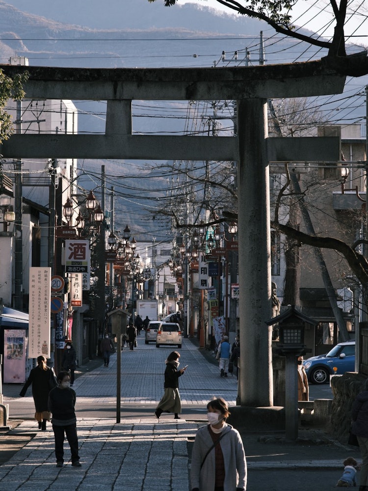 [Image1]Chichibu Shrine Approach