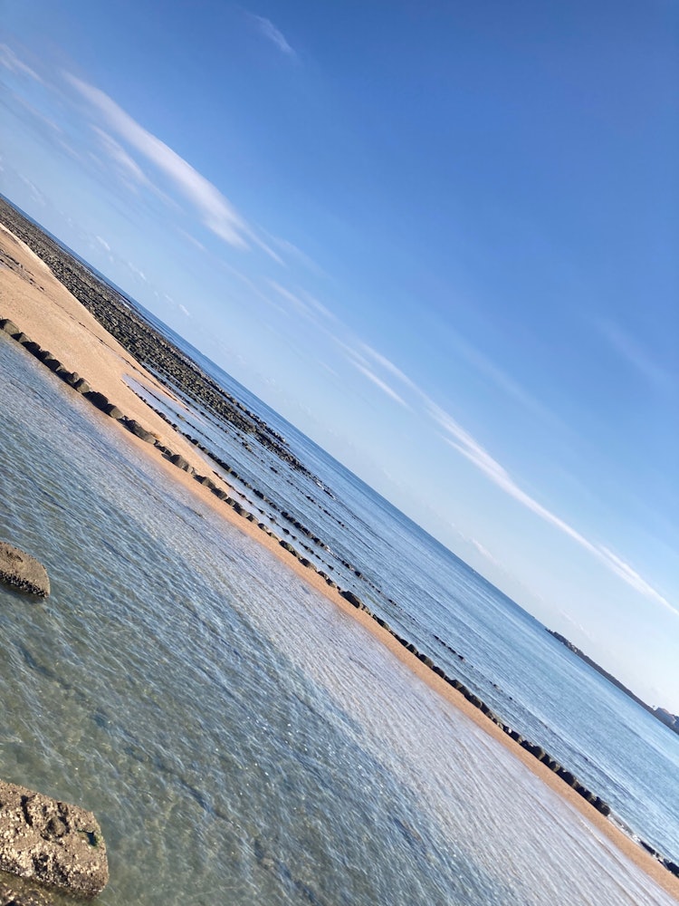 [画像1]宮崎県にある青島の風景です。透き通った空と海の青に、ボコボコとした岩肌がひときわ目立っていました。滑らないように慎重に、岩の上に立ってみると…まるで彫刻家が気まぐれに彫ったかのような模様が広がっていま