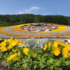 [Image2]【Flower Scenery Hanak and Flower Road】Every year, under the title of 