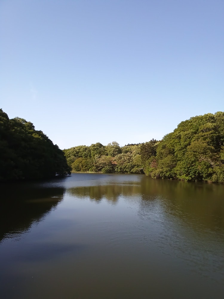 [Image1]Tega Fureai no Mori (Ibaraki)The rich natural environment is a hidden attraction.
