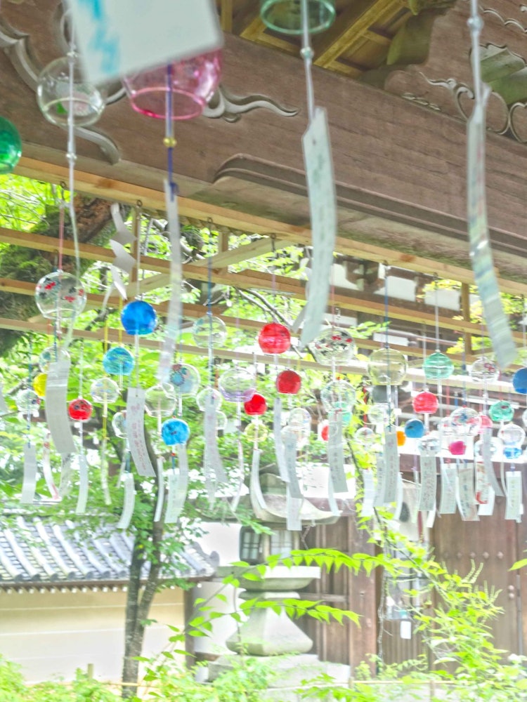[相片1]京都松尾大社夏日限定這是一個風鈴。風鈴上有手寫的紙條。拴。哪怕是一陣小風吹來，無比它治癒。