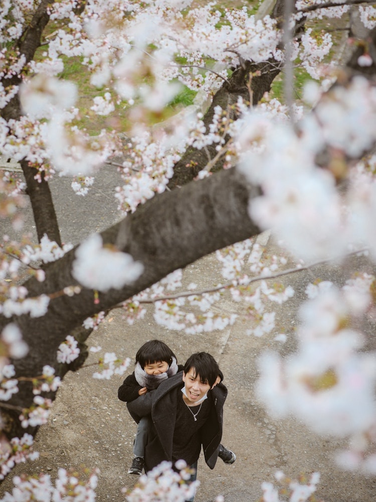 [相片1]日本的春天日本的春天这张照片是今年春天在大阪的樱宫拍摄的。 我一直很喜欢微笑和樱花。