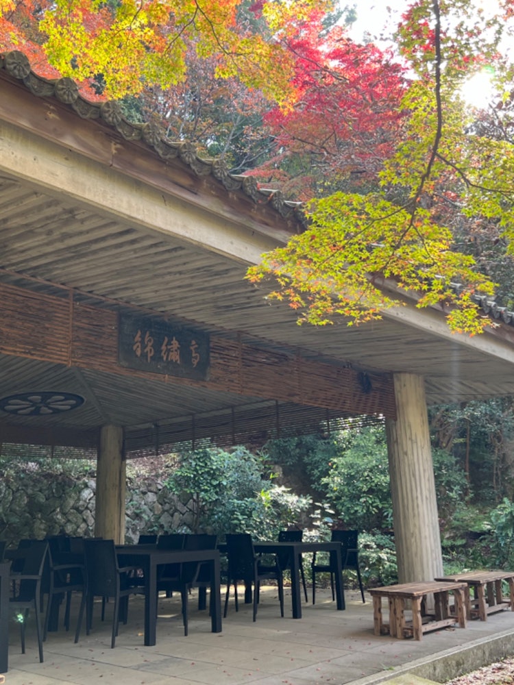 [画像1]日本の秋の風景。美しい建物と共に写る「紅葉」。後世に残して行きたい風景です。