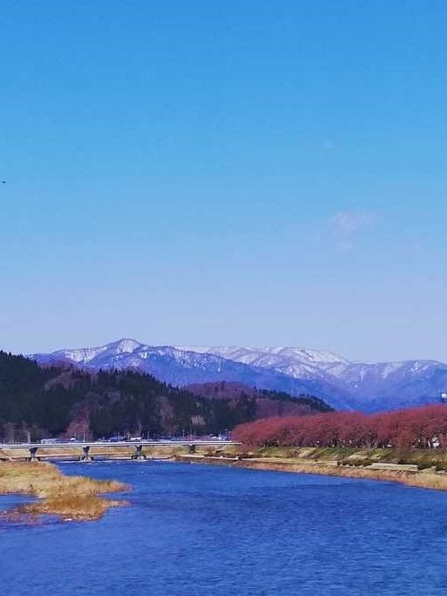 [Image1]I went to Kakunodate, Akita last April this year. I was looking forward for the Sakura trees but I w