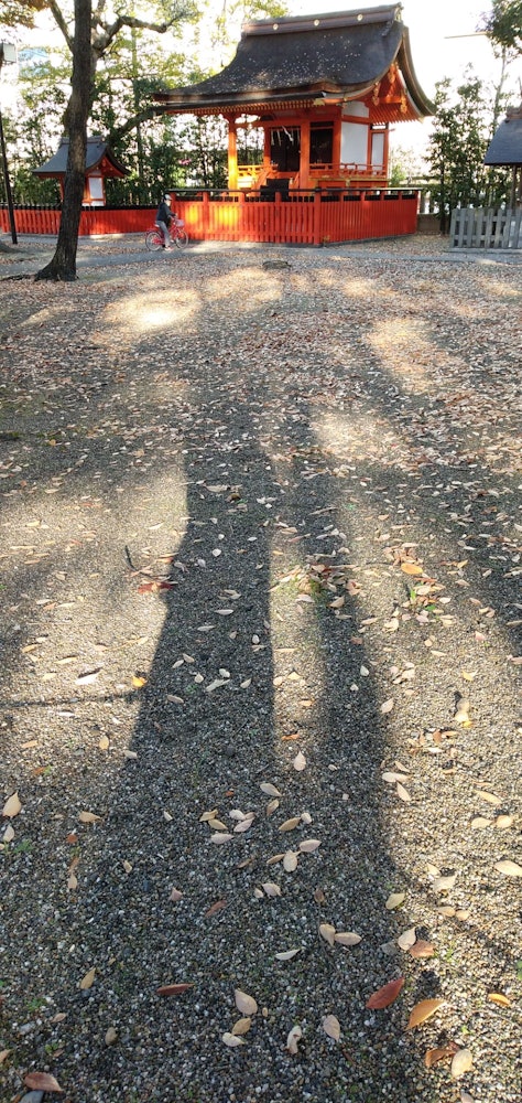 [相片1]落叶中，影子越来越长