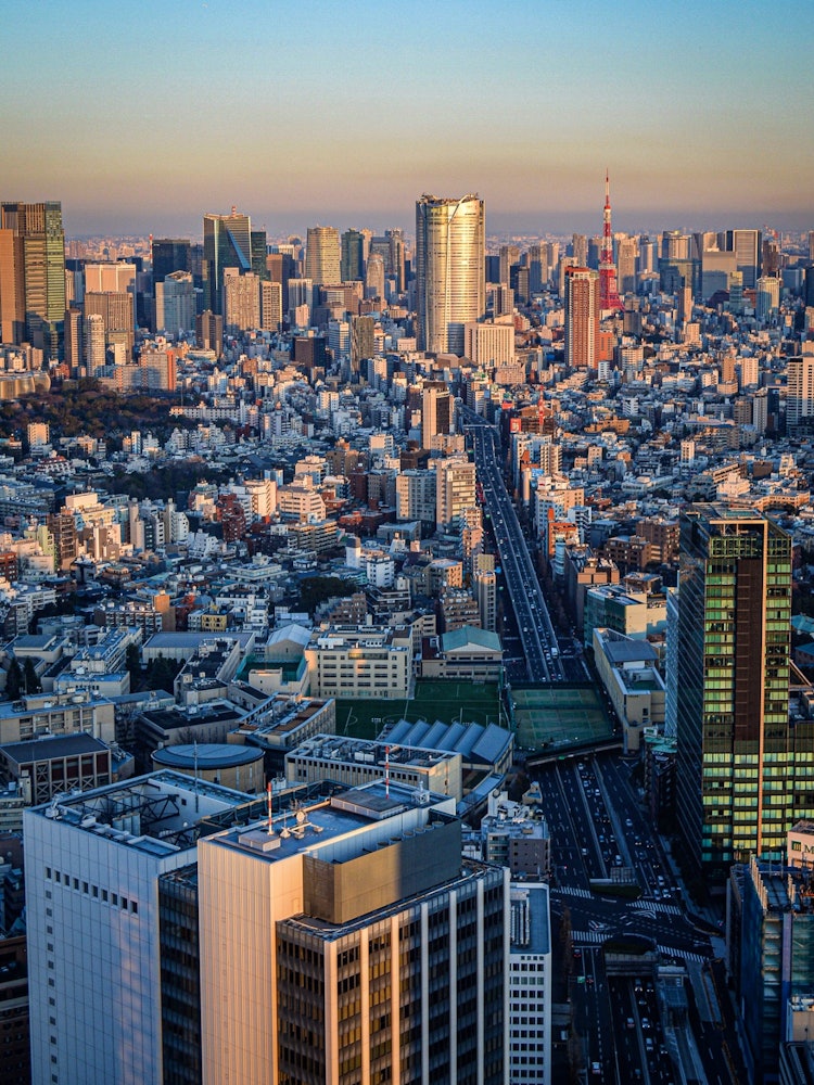 [画像1]東京都渋谷区渋谷スカイの展望台からの撮影です。東京のビル群が綺麗に見えました。撮影機材 Nikon編集ソフト Lightroom