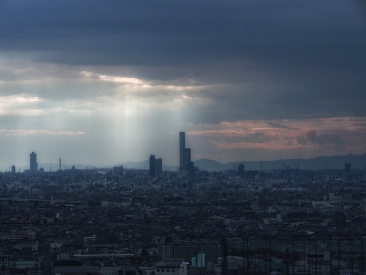 [画像1]大阪府八尾市の山手から見た、大阪の街。早く以前の暮らしが戻ります様に。