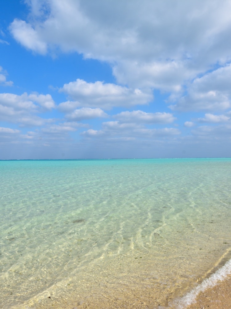[Image1]📍 It is a beach on Yoron Island. It's ✨ a really beautiful beach