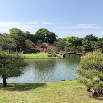 [Image1]Went to Rikugien Gardens over the weekend!The weather was really nice and the flowers were beautiful