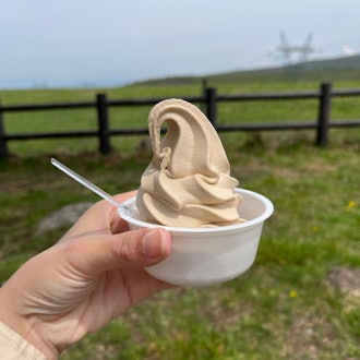 [相片2]長野 旅行我一邊吃著軟霜淇淋，一邊🐮感謝大場地牧場的奶牛。圖為咖啡味軟霜淇淋 🍦它有點遠，但它是一個避暑勝地，所以我♡每年夏天都會照顧它。