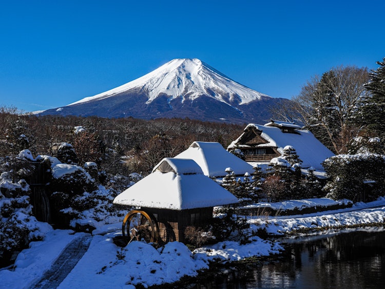 [画像1]忍野八海には富士山の雨と雪解け水から湧き出た八つの池があります。昔は霊場だったようですが、いまもパワースポットとしてたくさんの方が訪れています。 冬の雪が降った日は、懐かしい山里の景色がさらに魅力的な