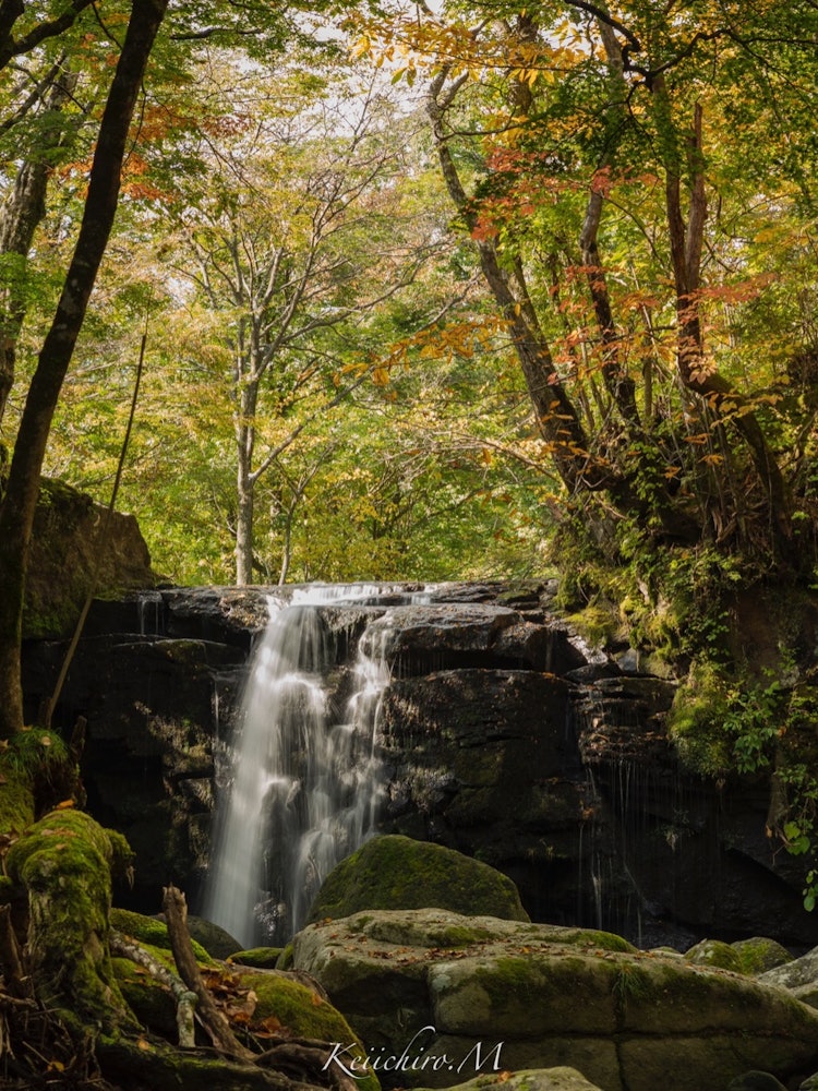 [画像1]熊本県のマゼノ渓谷です。新緑と紅葉の時期だけ、期間限定で入ることが出来ます。美しい紅葉と滝にとても癒される空間となっています。