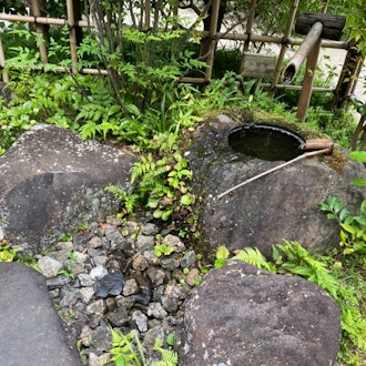 [Image2][Englsh/Japanese] Continuing from last week, here are some photos from Komagino Garden. The garden w