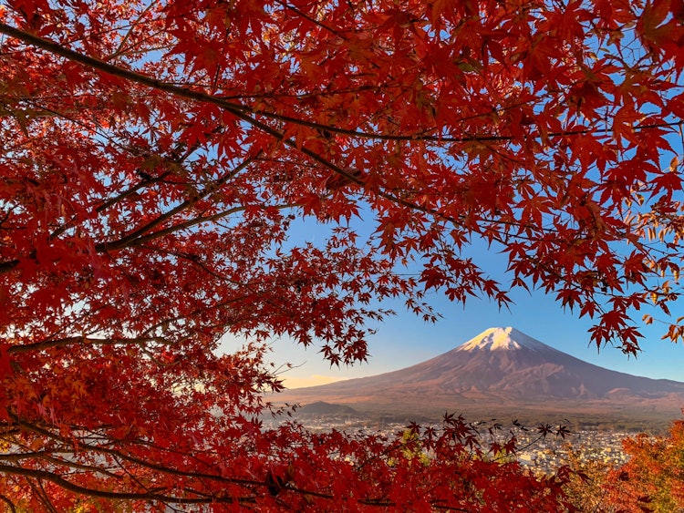 [相片1]癡迷於富士山的魅力秋富士 🍁 （5）