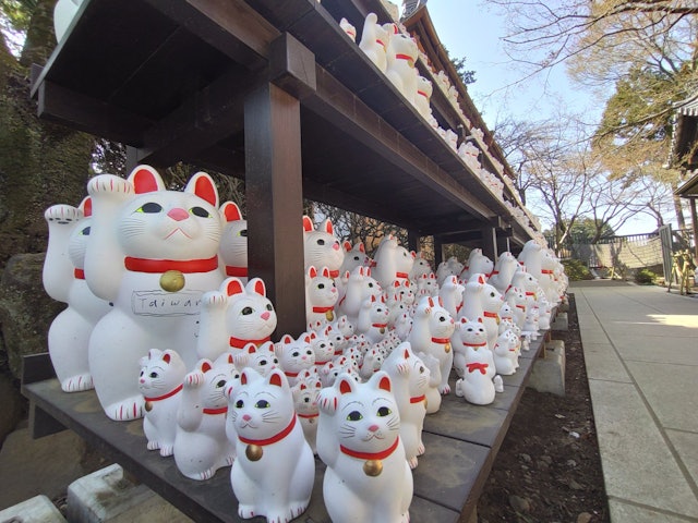 [画像2]明日、2月22日は、ねこの日です。 なので、猫に関係する場所を一つ紹介します。 それは、世田谷区にある豪徳寺です。 豪徳寺は、招き猫発祥の地です。 招き猫が沢山、納められています。 もし、時間があれば