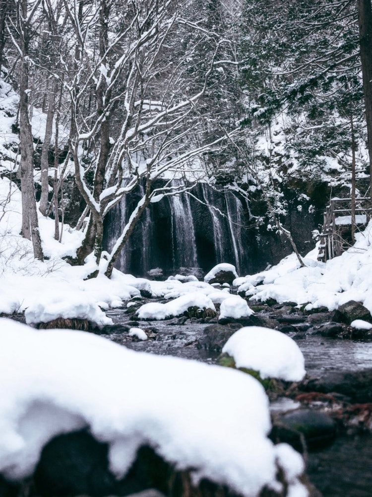 [相片1]它是福岛县的辰泽不动瀑布。它以其秋天的红叶和瀑布拍照的景点而闻名，但冬季的雪和瀑布也很美丽。