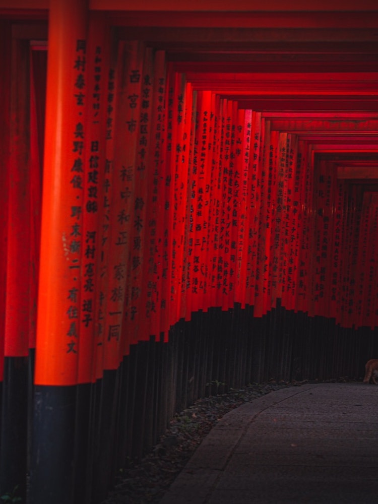 [Image1]KYOTO Fushimi Inari Taisha Shrine