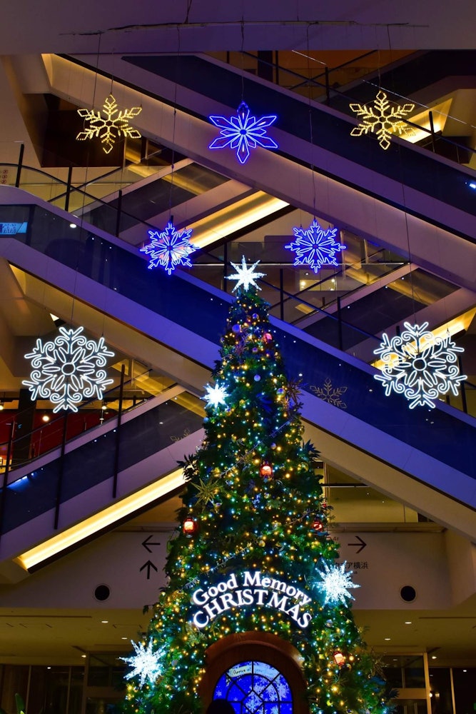 [相片1]这棵美丽的圣诞树位于神奈川县港未来地区的“Mark IS”购物中心内。