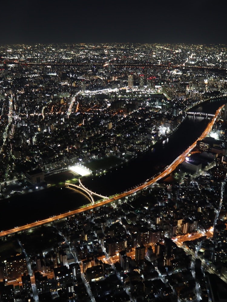 [画像1]東京スカイツリー展望台からの夜景。