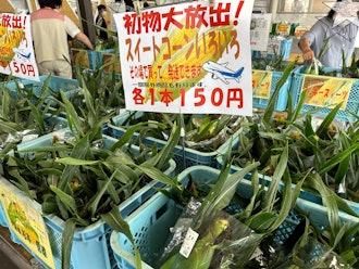 [相片1]【目室町・愛那屋】「Aina-ya」的蔬菜是生產者早上第一件事就是採摘，直接從田裡運來！ 目室是日本最大的甜玉米生產商。 在這裡，他們還出售「Memuro Gold Craft」，這是一種用Memur