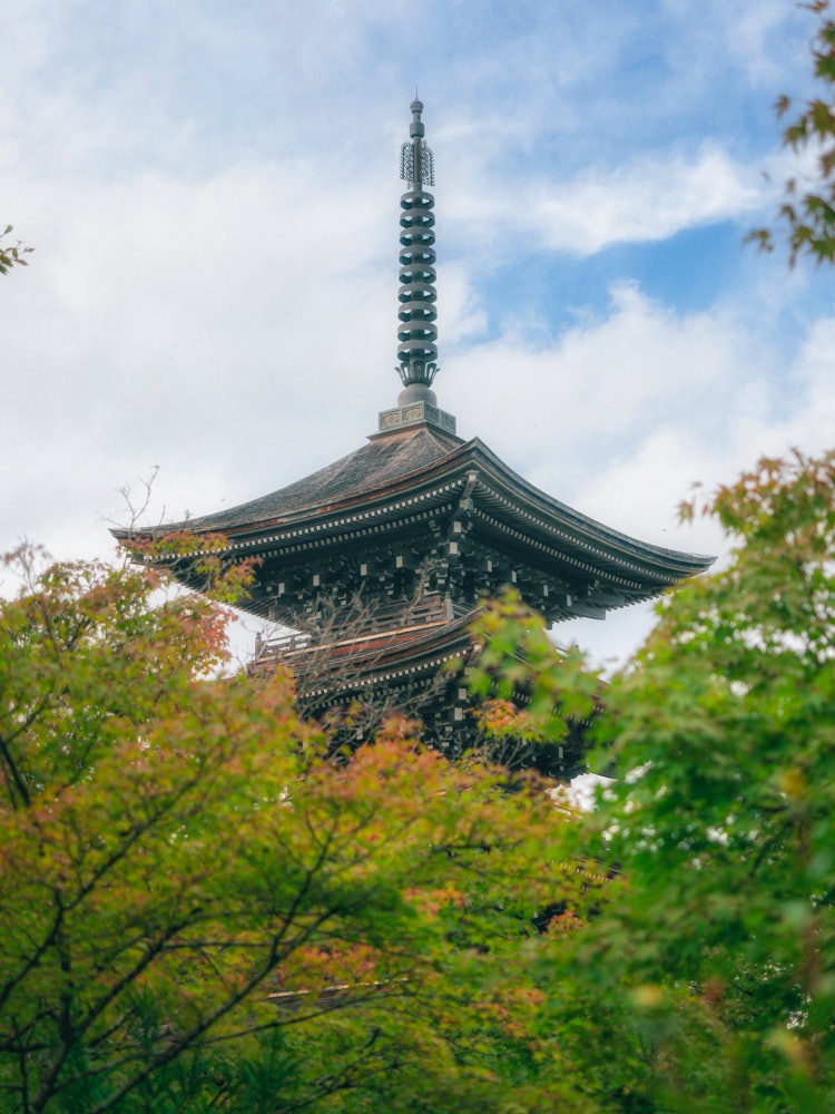 [Image1]It is a definition of Nyorai Saihoji Temple located deep in the mountains of Sendai City, Miyagi Pre