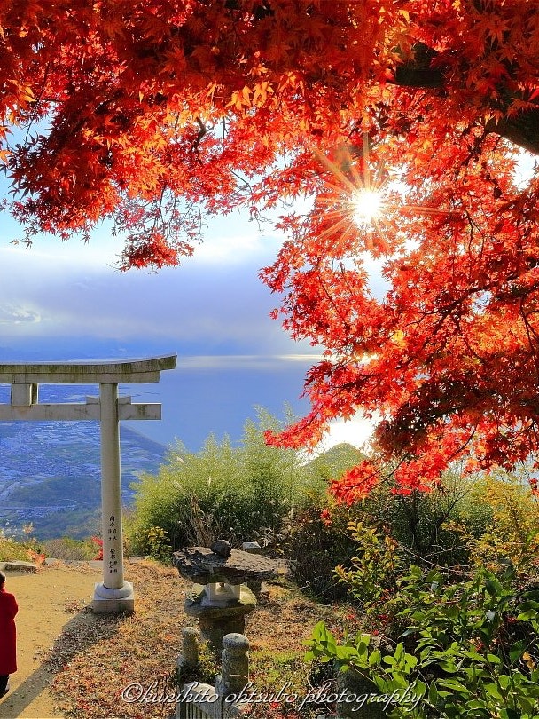 [Image1]「Torii in the sky sparkling in autumn」Location: Takaya Shrine, Kannonji City, Kagawa Prefecture＊This