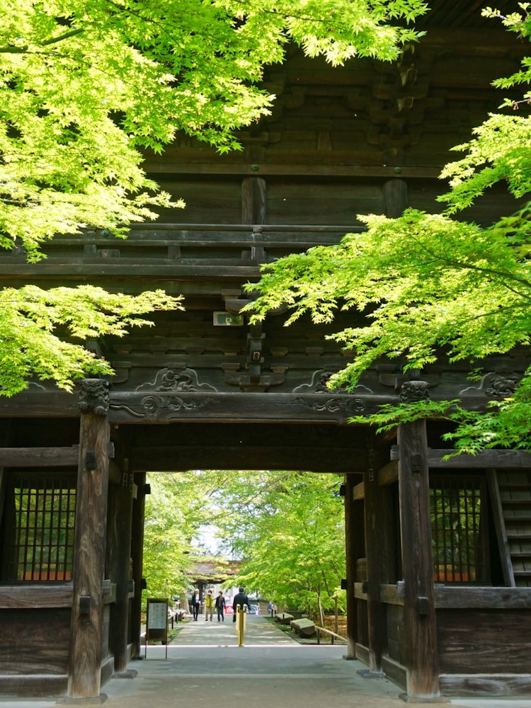 [相片1]奥泽， 世田谷区， 东京 屈信佛上神寺 您将被覆盖山门的新鲜绿色植物的美丽所震撼。