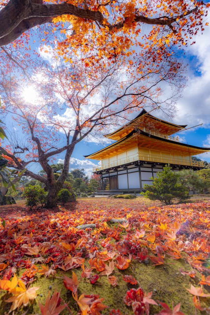 投稿一覧 新着 クールジャパンビデオ 日本の観光 旅行 グルメ 面白情報をまとめた動画キュレーションサイト Cool Japan Videos 投稿一覧 新着 クールジャパンビデオ 日本の観光 旅行 グルメ 面白情報をまとめた動画キュレーションサイト Cool Japan Videos