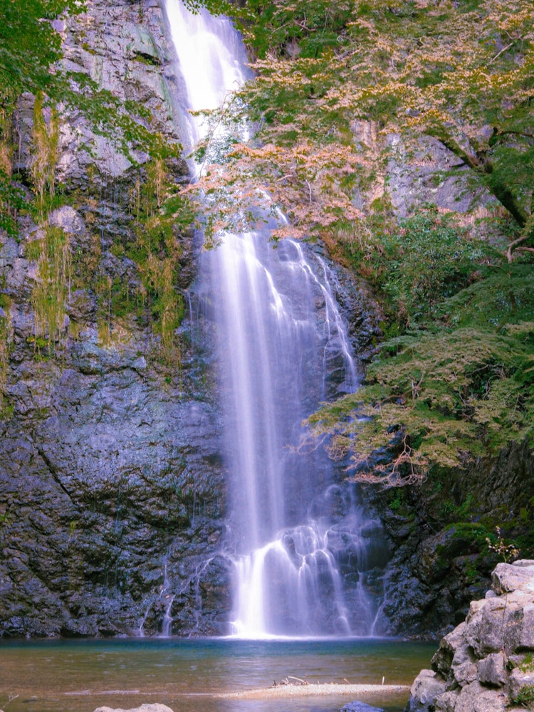 [Image1]This is a photo of Minoh Falls in Osaka PrefectureMany people visit this placeI take a break from my