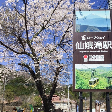[Image1]Hello, this 😃 is the Yamanashi Wine Kingdom Main Building. Under the refreshing blue sky, the cherry