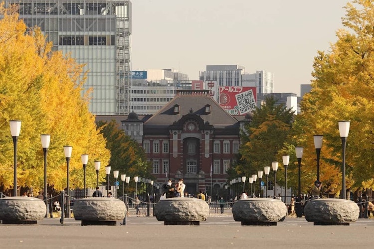 [画像1]皇居外苑の桔梗門付近から東京駅を撮影しました。