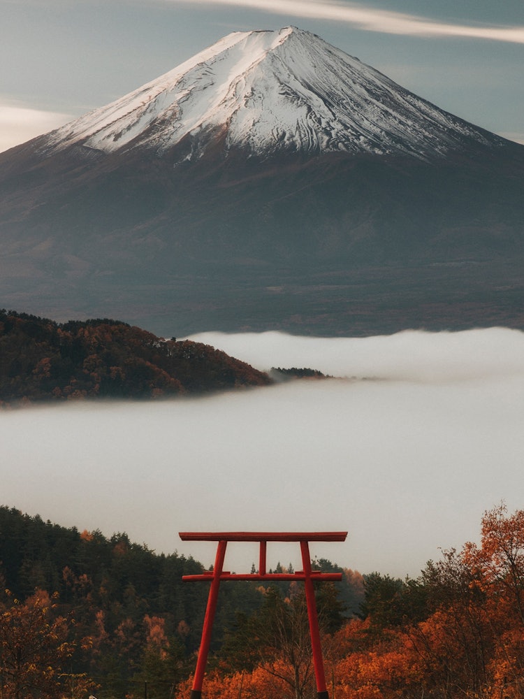 [Image1]Mt. Fuji floating in a sea of clouds is beautiful.Photographed in Fujikawaguchiko Town, Yamanashi Pr