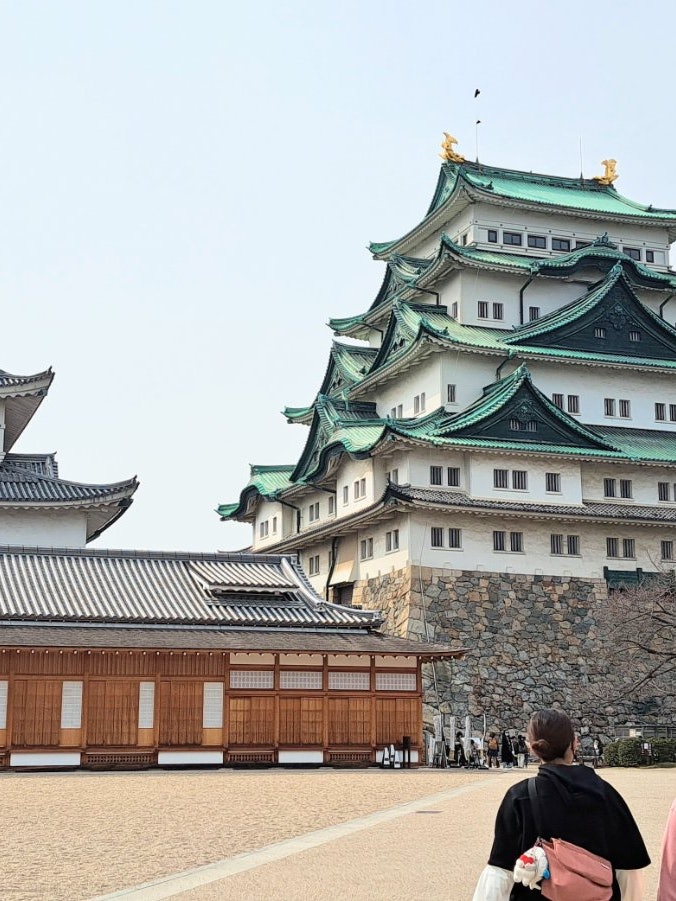 [Image1]This is Nagoya Castle in Nagoya City, Aichi Prefecture!It was the first time I went there, and it wa