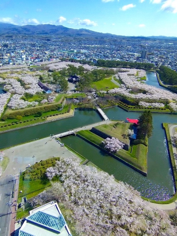 [画像1]五稜郭タワーからの絶景🗼桜の時期に行くのがおすすめです🌸星型が素敵ですよね🌟何度でも見に行きたいです🥹
