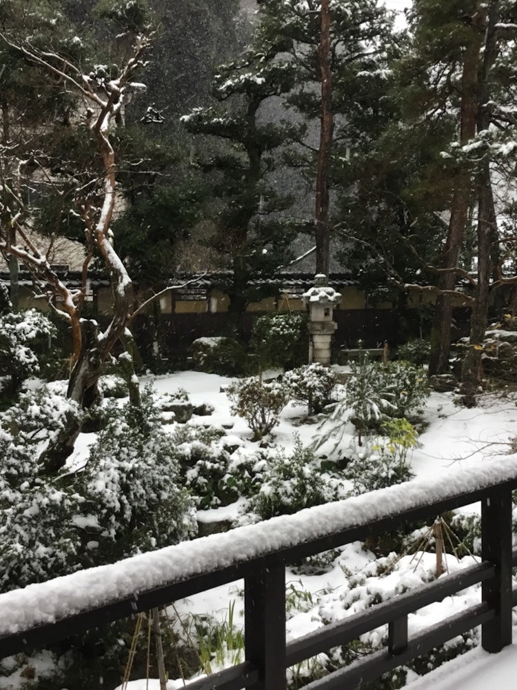 [相片1]城崎溫泉，三木屋的花園。被稱為志賀直也的常規旅館，從直也住的房間，你可以看到這個花園。