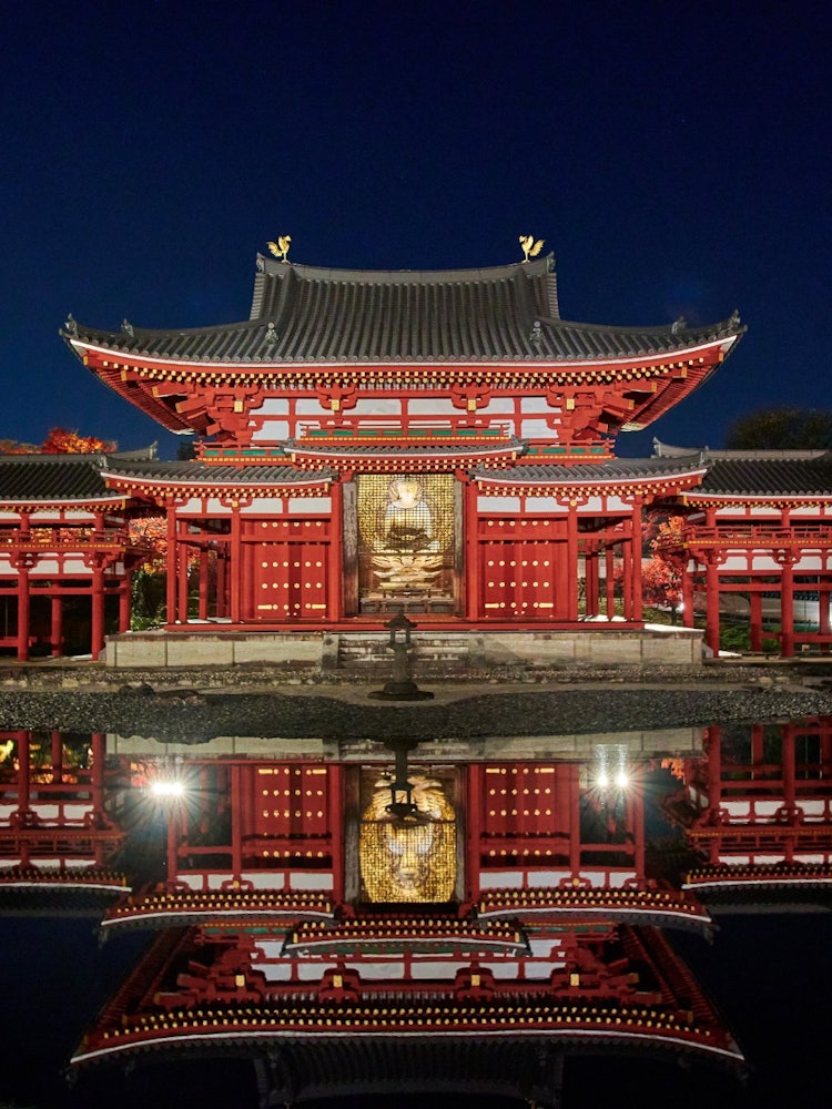 [Image1]I went there because the Byodo-in Phoenix Hall, a World Heritage Site, is lit up at night for a limi