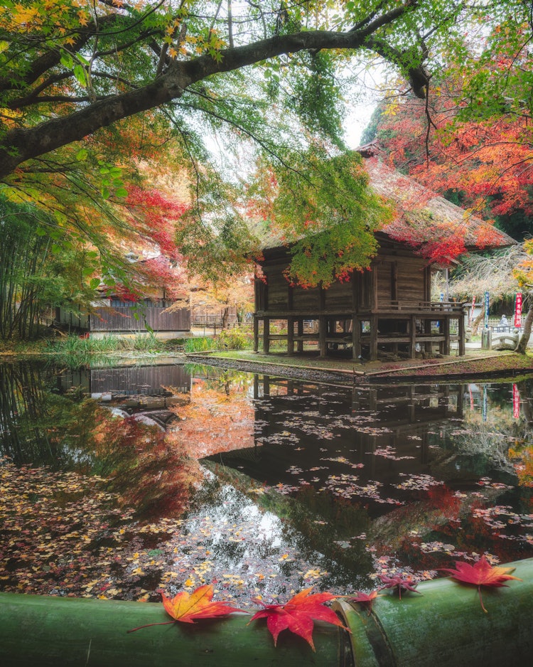 [이미지1]주손지 사원, 도호쿠에서 가장 인기 있는 사원 중 하나이와테현 니시와이군 히라이즈미쵸에 위치한 텐다이 종파 도호쿠 다이혼잔의 절입니다.2011년에는 세계문화유산으로 등록되었습니다.