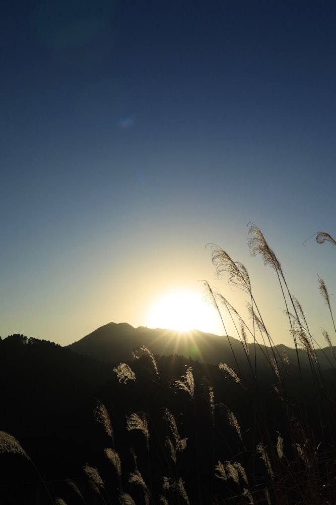 [相片1]它来自福冈县八目市的高须公园医生直升机场。 日出非常美丽。