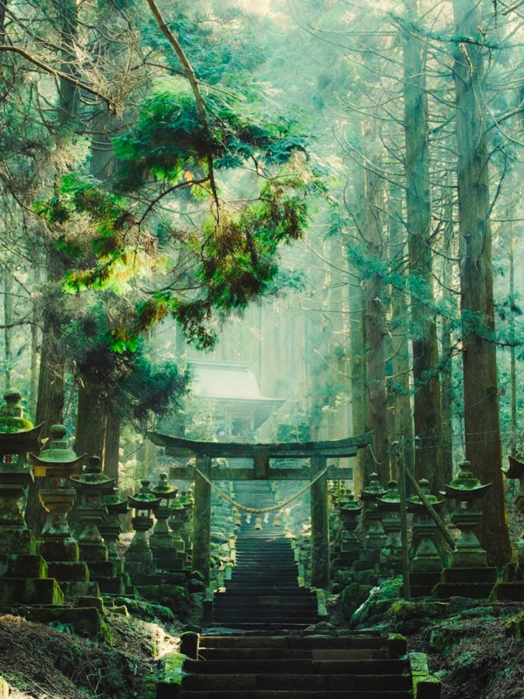[画像1]熊本県にある上色見熊野座神社です。 まるでジブリの世界に来たかのような場所です。