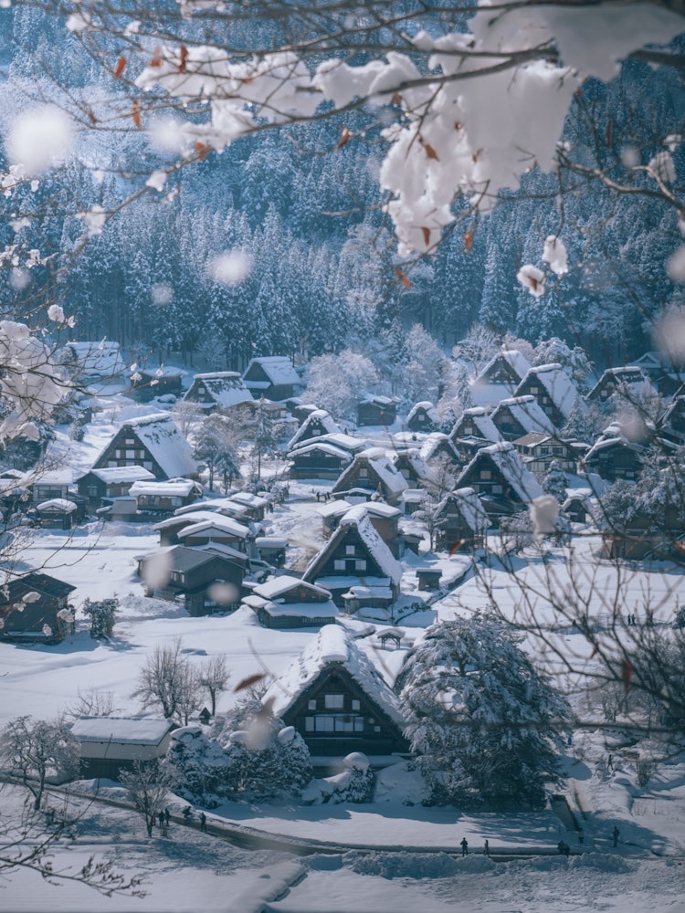 [Image1]Winter in Shirakawa-go