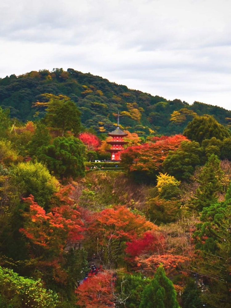 [画像1]清水寺は有名な観光地であり、常に非常に混雑しています。去年の秋、私たちはこのように有名な目的地を訪れましたが、それは本当にとても美しいです。 今年もぜひ訪れてみたいです。山全体が色とりどりに見え、神社
