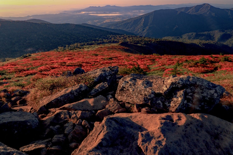 [画像1]岩手県の三ツ石山の紅葉です。 三ツ石山は東北で最もはやく紅葉を迎えることで有名ですが、山頂付近から眺める紅葉風景は真っ赤に染まって大変素晴らしく、見応えがあります。
