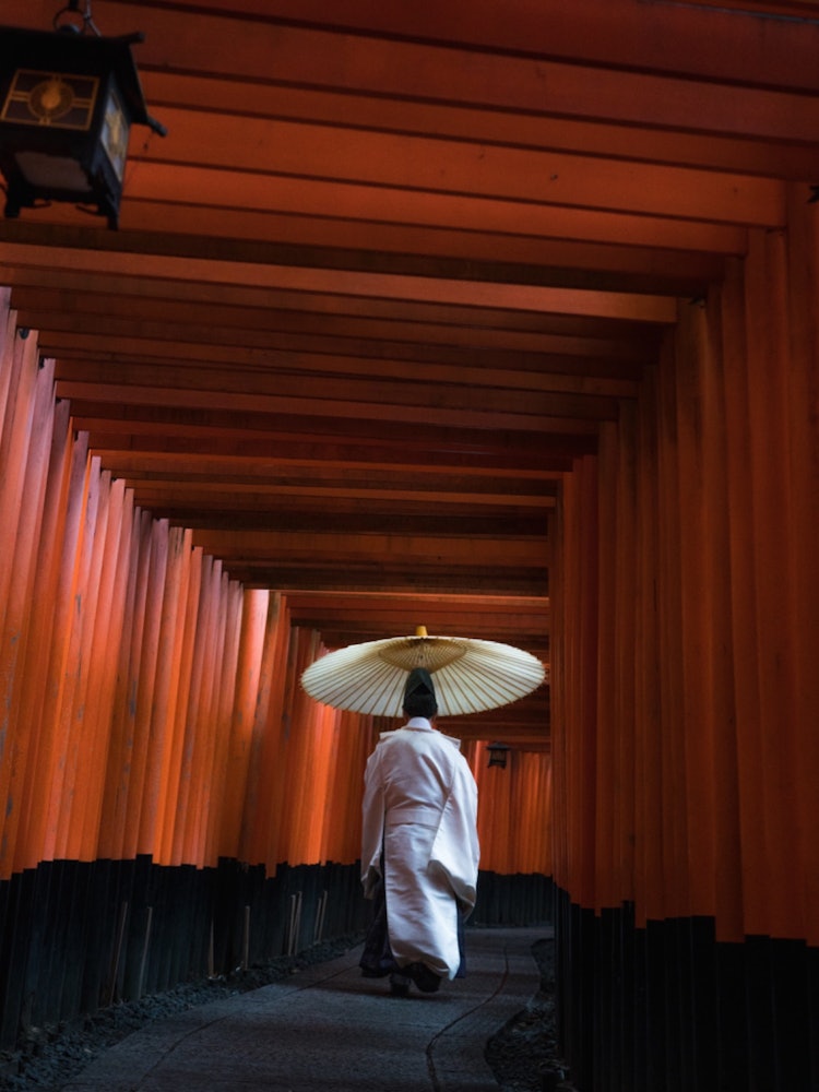 [Image1]Kyoto, Fushimi Inari Taisha Shrine.Famous for the Senbon torii gateIt is crowded with many tourists.