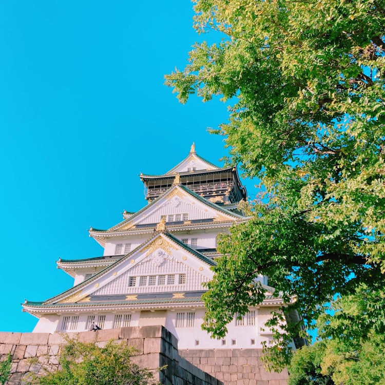 [相片1]晴朗天气中的大阪城郭 ☀️这蓝天没有加工！大阪城郭以蓝天为背景！ 这🥹真是太棒了这是我的最爱之一 🩷Taku先生/女士走了！！
