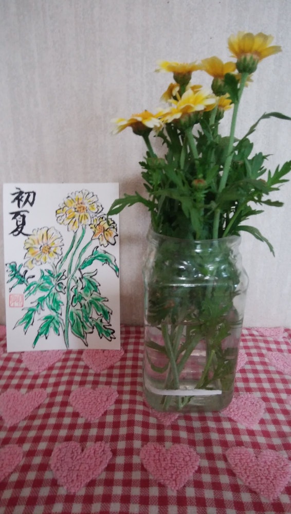 [이미지1]부엌 정원에 봄 국화, 꽃이 피었 기 때문에 꽃병에 넣었습니다. 엽서로도 만들었습니다. 먹고, 보고, 사용하는 용도가 가득합니다. 감사합니다.