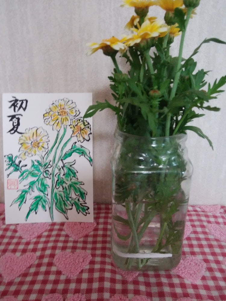 [이미지1]부엌 정원에 봄 국화, 꽃이 피었 기 때문에 꽃병에 넣었습니다. 엽서로도 만들었습니다. 먹고, 보고, 사용하는 용도가 가득합니다. 감사합니다.