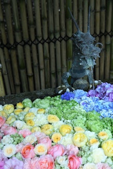 [画像2]先日、日吉大社にて花手水を撮りに行きました。花手水を見るのは初めてでしたがとても美しかったです。