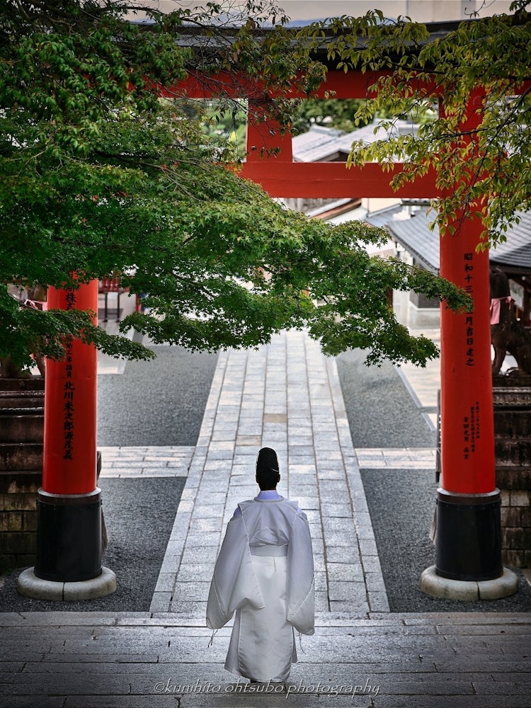 [Image1]「Fushimi-Inari Taisha」location： 京都市伏見区・伏見稲荷大社＊＊＊～The head shrine of Inari Shrine～Fushimi Inari Taish