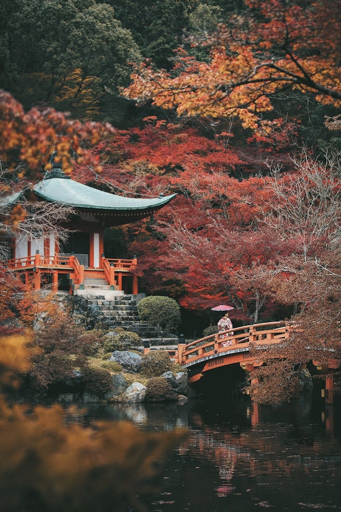 [相片1]京都的紅葉佳能EOS 5d + ef24-70mm f2.8 燈室